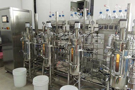 機械攪拌發酵罐