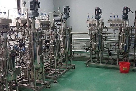 機械攪拌發酵罐