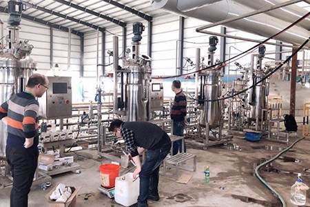 機械攪拌發酵罐