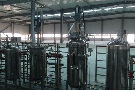 機械攪拌發酵罐