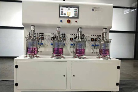 玻璃罐發酵罐